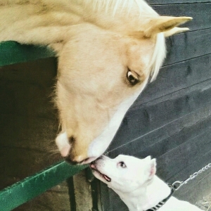 Pauline Saint Amand les Eaux