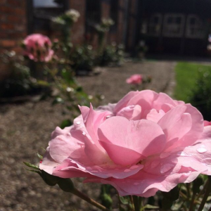 Maureen Aubervilliers