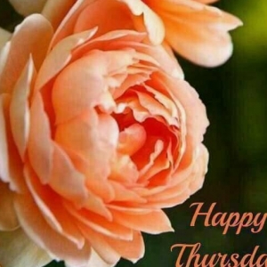 Vilayphone Pontault-Combault