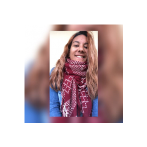 Megane Soisy-sous-Montmorency